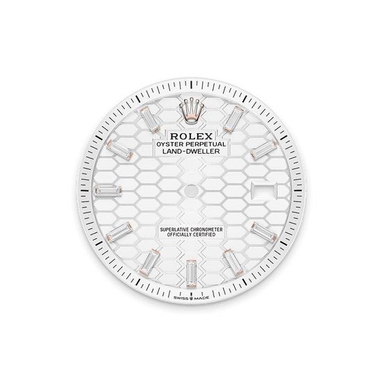 Rolex Replica Watch Land-Dweller 40, 18k Everose Gold and Diamonds, Intense white dial, Flat Jubilee, 127385tbr-0003
